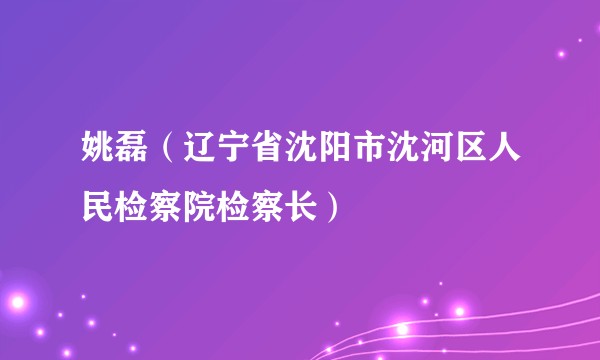 姚磊（辽宁省沈阳市沈河区人民检察院检察长）