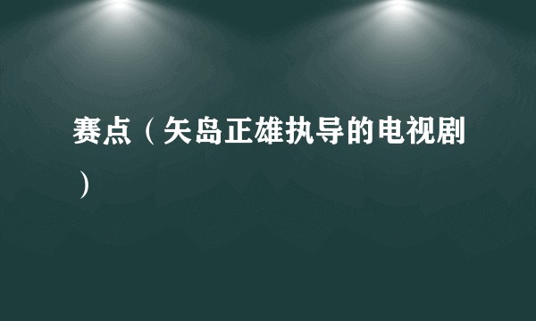 赛点（矢岛正雄执导的电视剧）