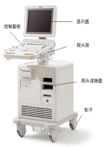 B型超声