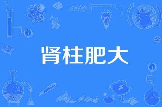 肾柱肥大