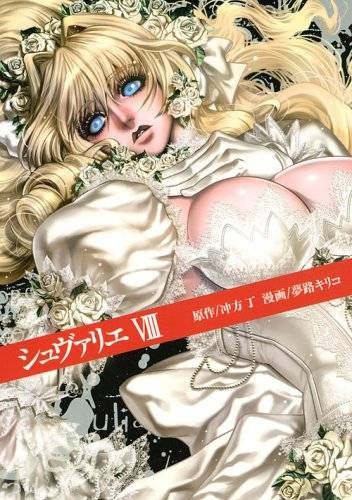 双面骑士（冲方丁原作、夢路キリコ作画的漫画）