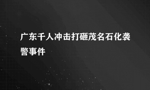广东千人冲击打砸茂名石化袭警事件