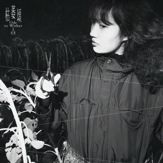 献身（2024年王忆灵演唱的歌曲）