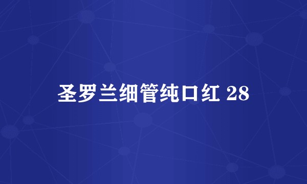 圣罗兰细管纯口红 28