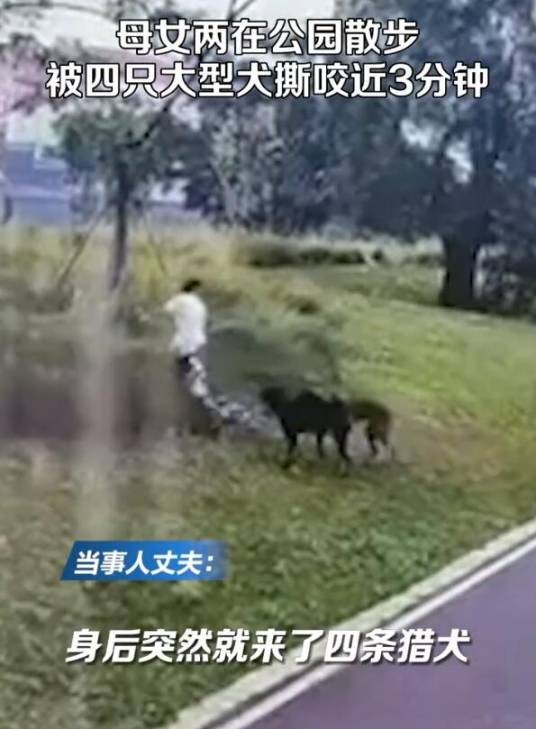 11·17赣州恶犬咬人事件