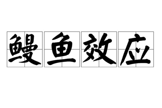 鳗鱼效应
