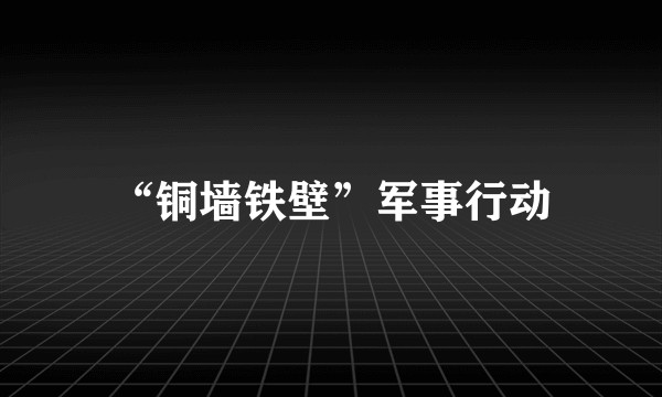 “铜墙铁壁”军事行动