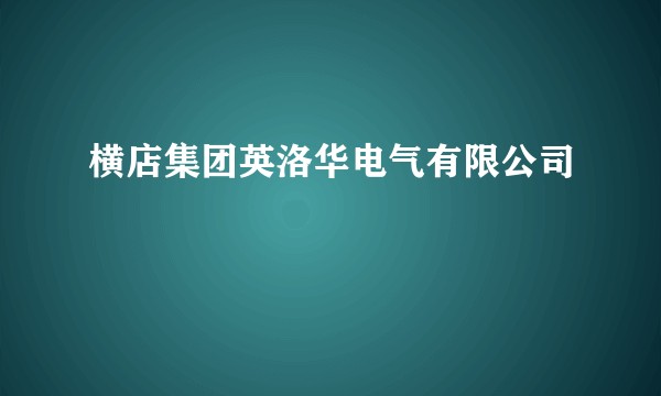 横店集团英洛华电气有限公司