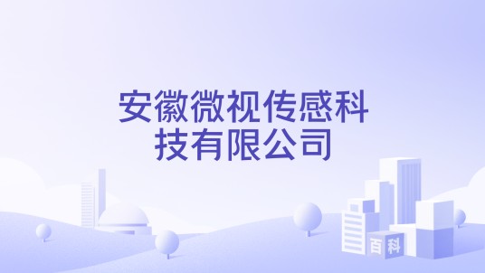 安徽微视传感科技有限公司