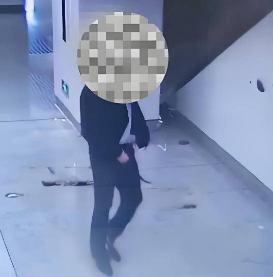 11·11南宁地铁男子当众大便事件