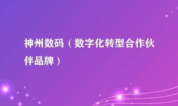 神州数码（数字化转型合作伙伴品牌）