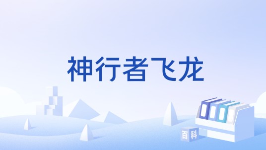 神行者飞龙