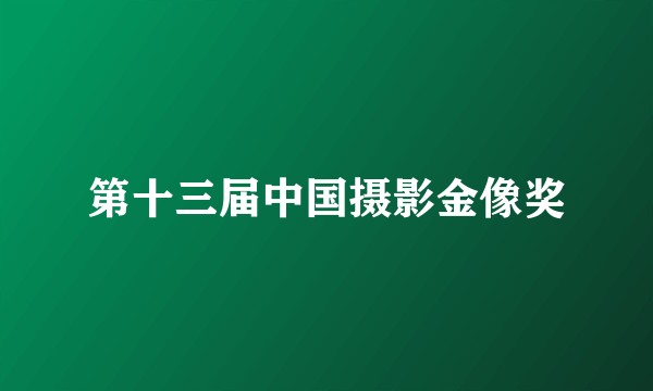 第十三届中国摄影金像奖