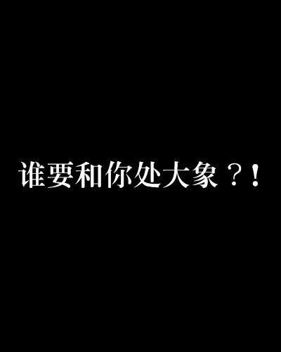 谁要和你处大象？!