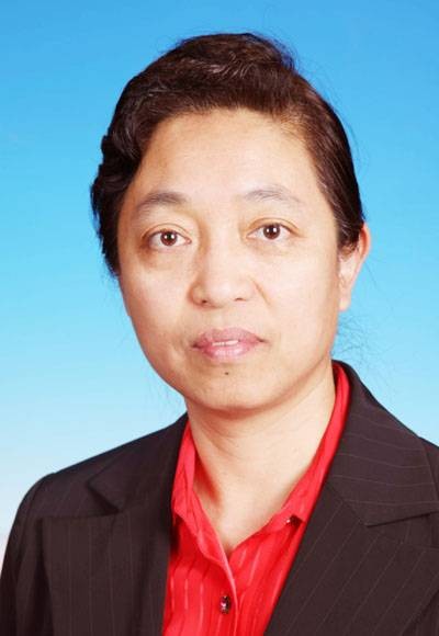 台湾民主自治同盟第十届中央委员会