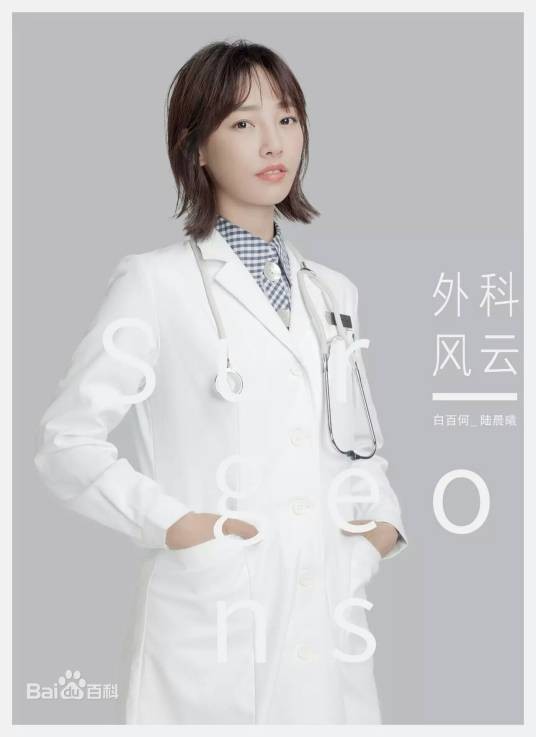 陆晨曦（电视剧《外科风云》中的女主角）