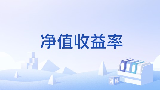 净值收益率