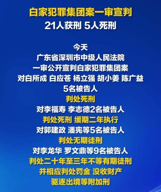 白家犯罪集团案