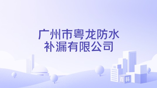 广州市粤龙防水补漏有限公司
