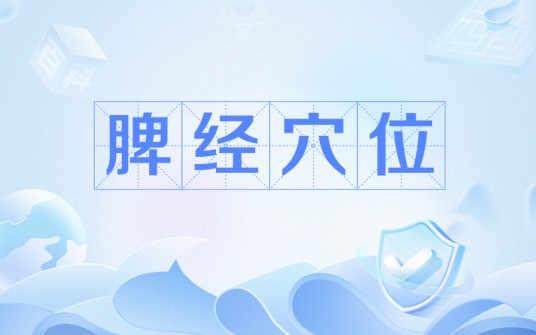 脾经穴位