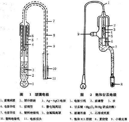 玻璃电极