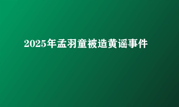 2025年孟羽童被造黄谣事件