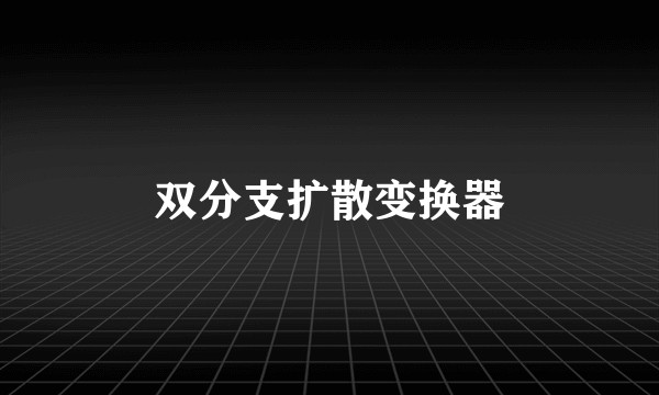 双分支扩散变换器