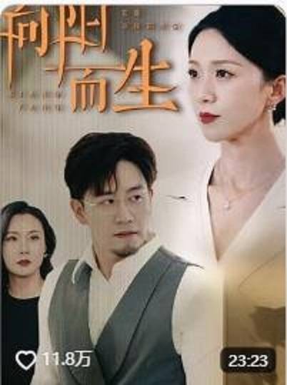 向阳而生（抖音播出的微短剧）