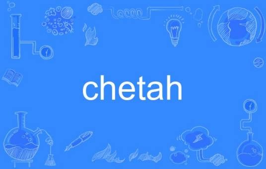 chetah