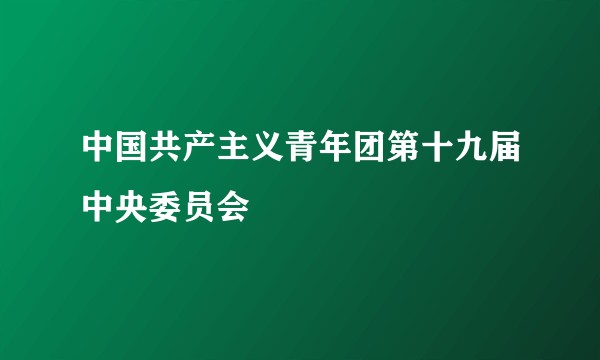 中国共产主义青年团第十九届中央委员会