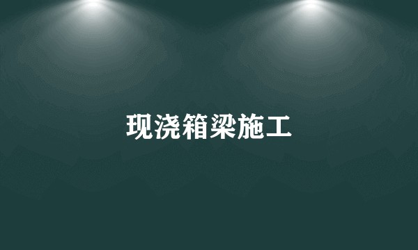 现浇箱梁施工