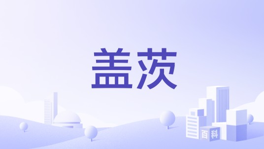 盖茨（动力传动与流体动力品牌）