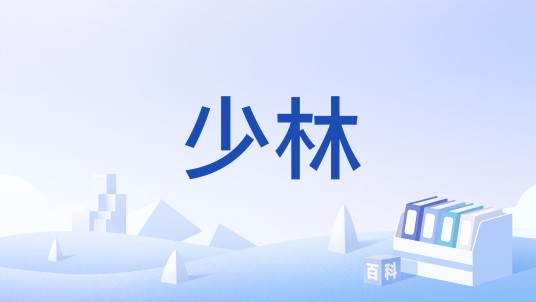 少林(游戏《剑网3无界》中的门派)