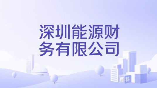 深圳能源财务有限公司