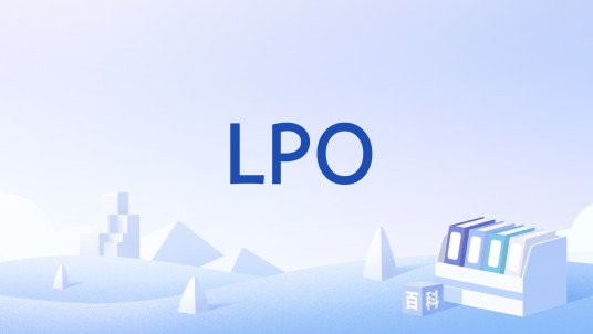 LPO(外贸采购名词)