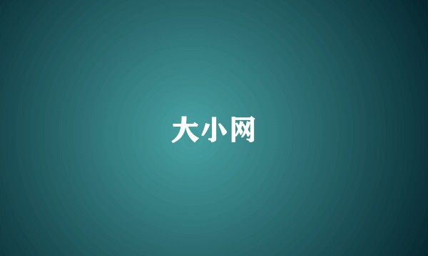 大小网