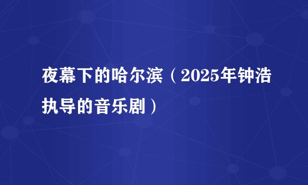 夜幕下的哈尔滨（2025年钟浩执导的音乐剧）
