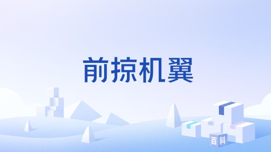 前掠机翼