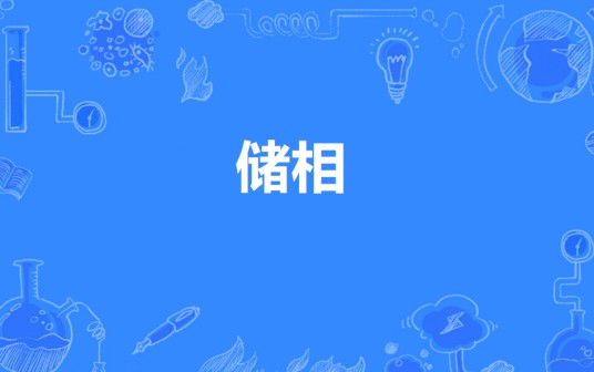 储相