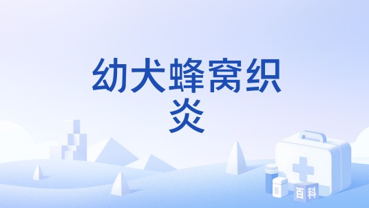 幼犬蜂窝织炎