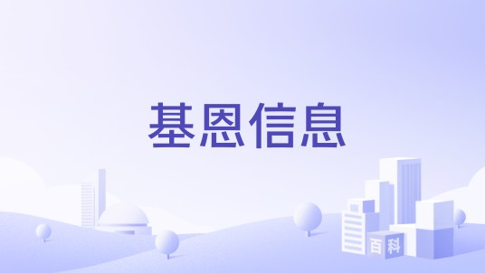 基恩信息