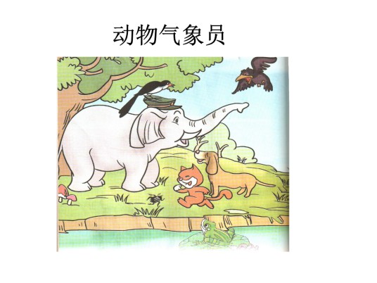 动物气象员