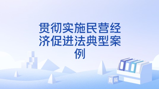 贯彻实施民营经济促进法典型案例