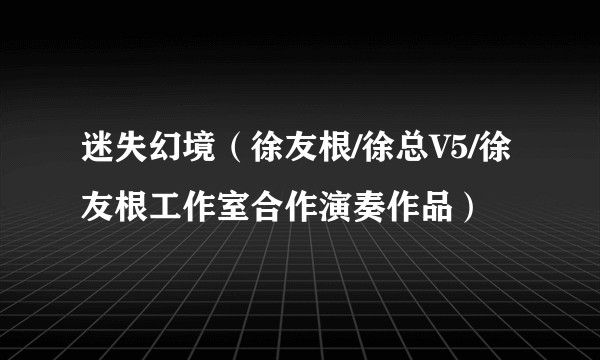 迷失幻境（徐友根/徐总V5/徐友根工作室合作演奏作品）