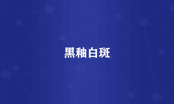 黑釉白斑