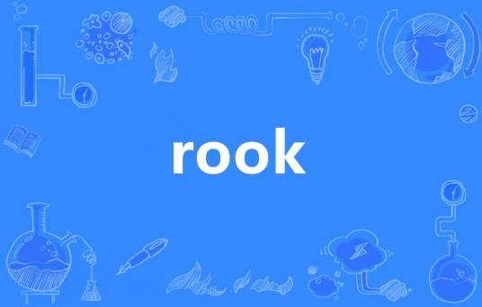 Rook（英语单词）