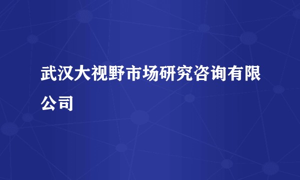 武汉大视野市场研究咨询有限公司