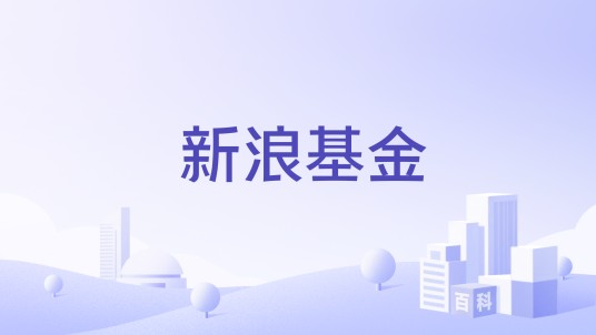 新浪基金