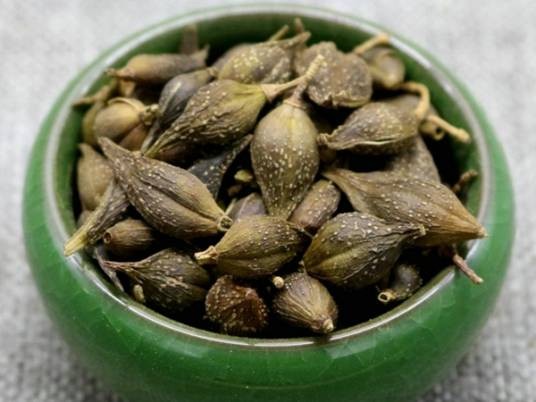 连翘（中药）