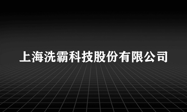 上海洗霸科技股份有限公司